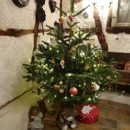 Aux Temps D'avant Bed & Breakfast Gundershoffen